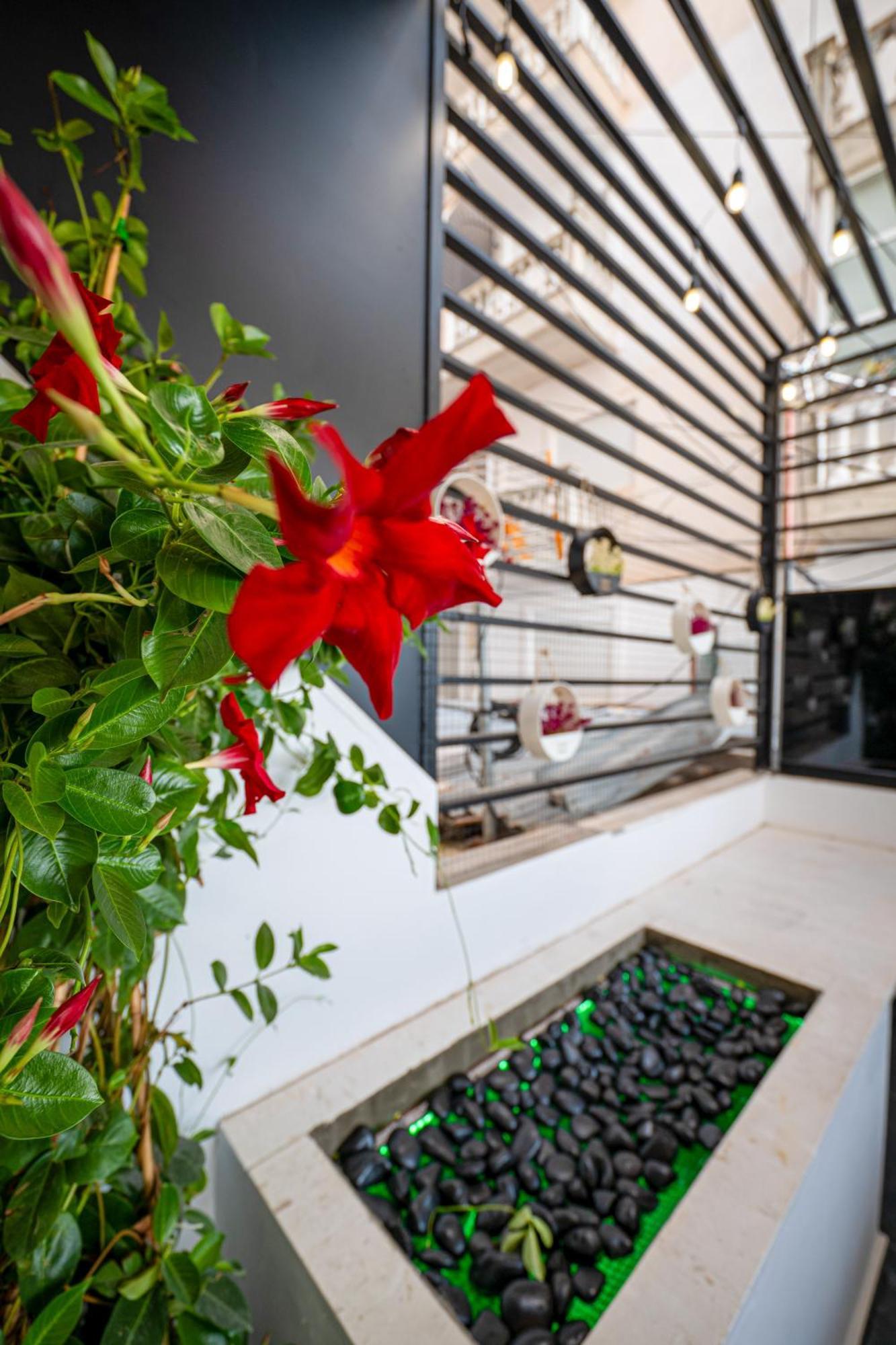 Mato Luxury Apartments Saranda Dış mekan fotoğraf