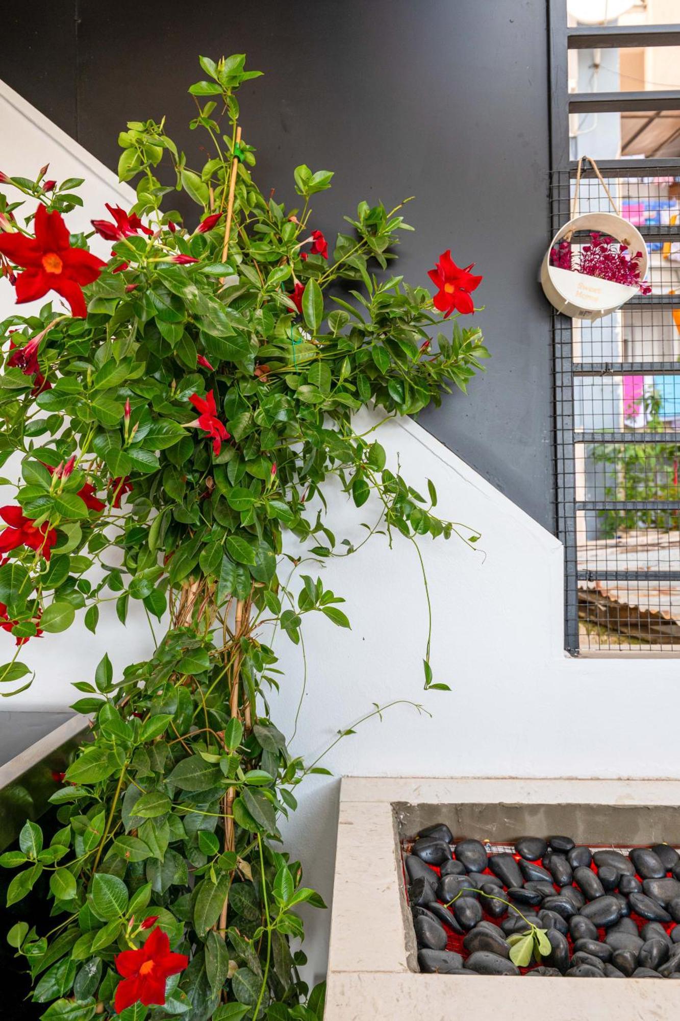 Mato Luxury Apartments Saranda Dış mekan fotoğraf